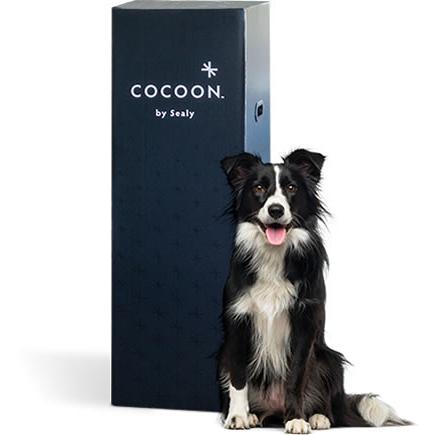 Sealy Cocoon Soft Mattress (Full) IMAGE 3