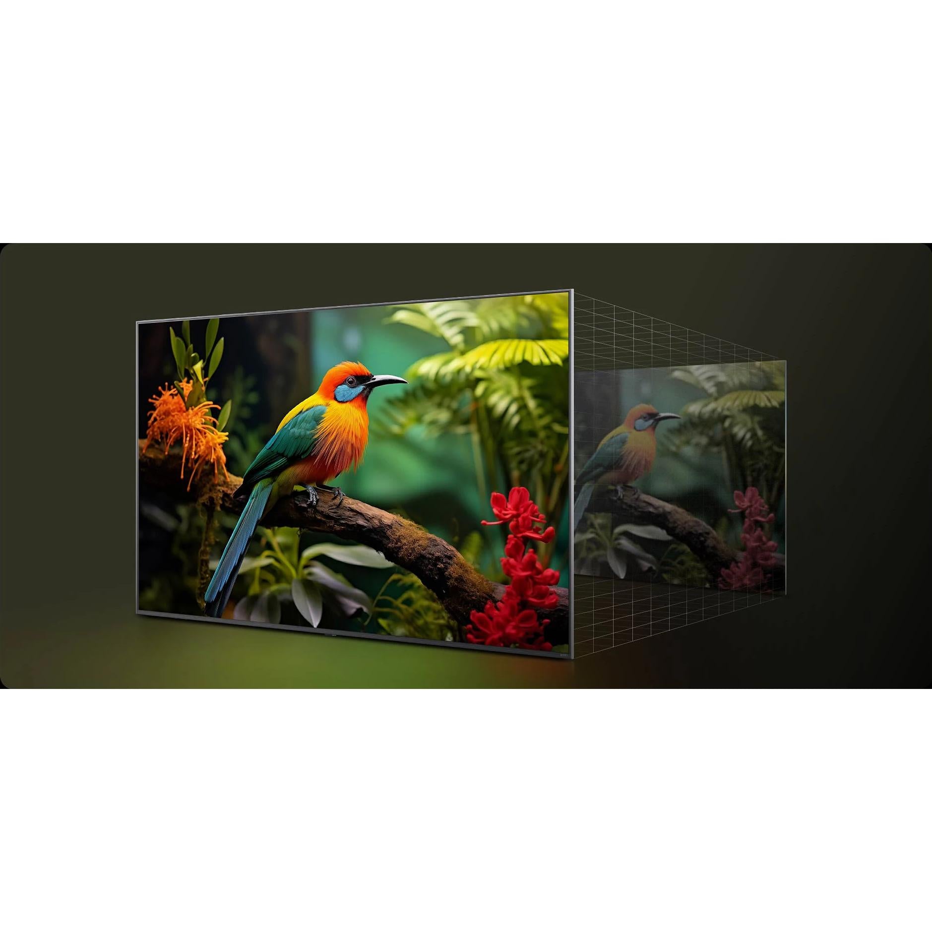 LG QNED80 75-inch 4K UHD Smart LED TV 75QNED80AUA IMAGE 5