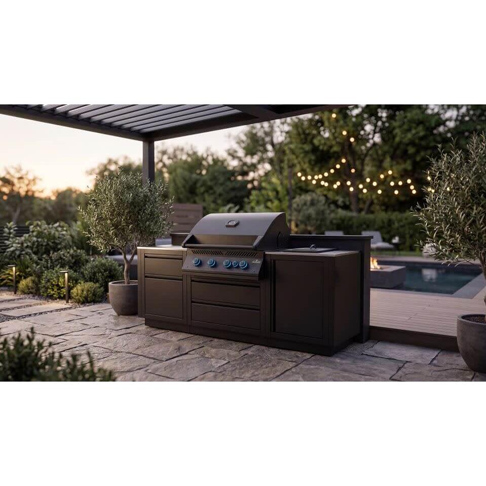 Napoleon OASIS® Outdoor Gas Grill Center - Liquid Propane OOK-002 IMAGE 3