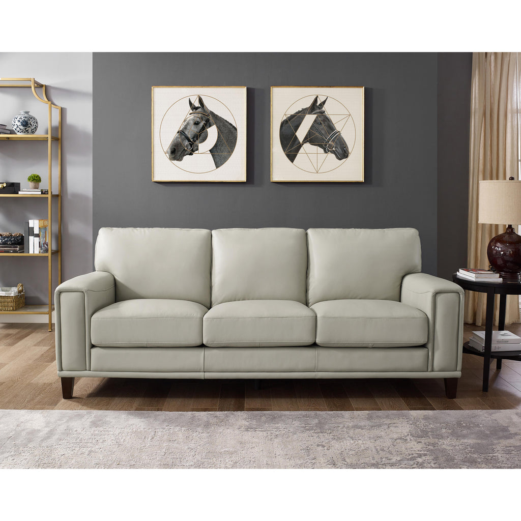 Amax Leather Harper Stationary Leather Sofa 6982 30 2515
