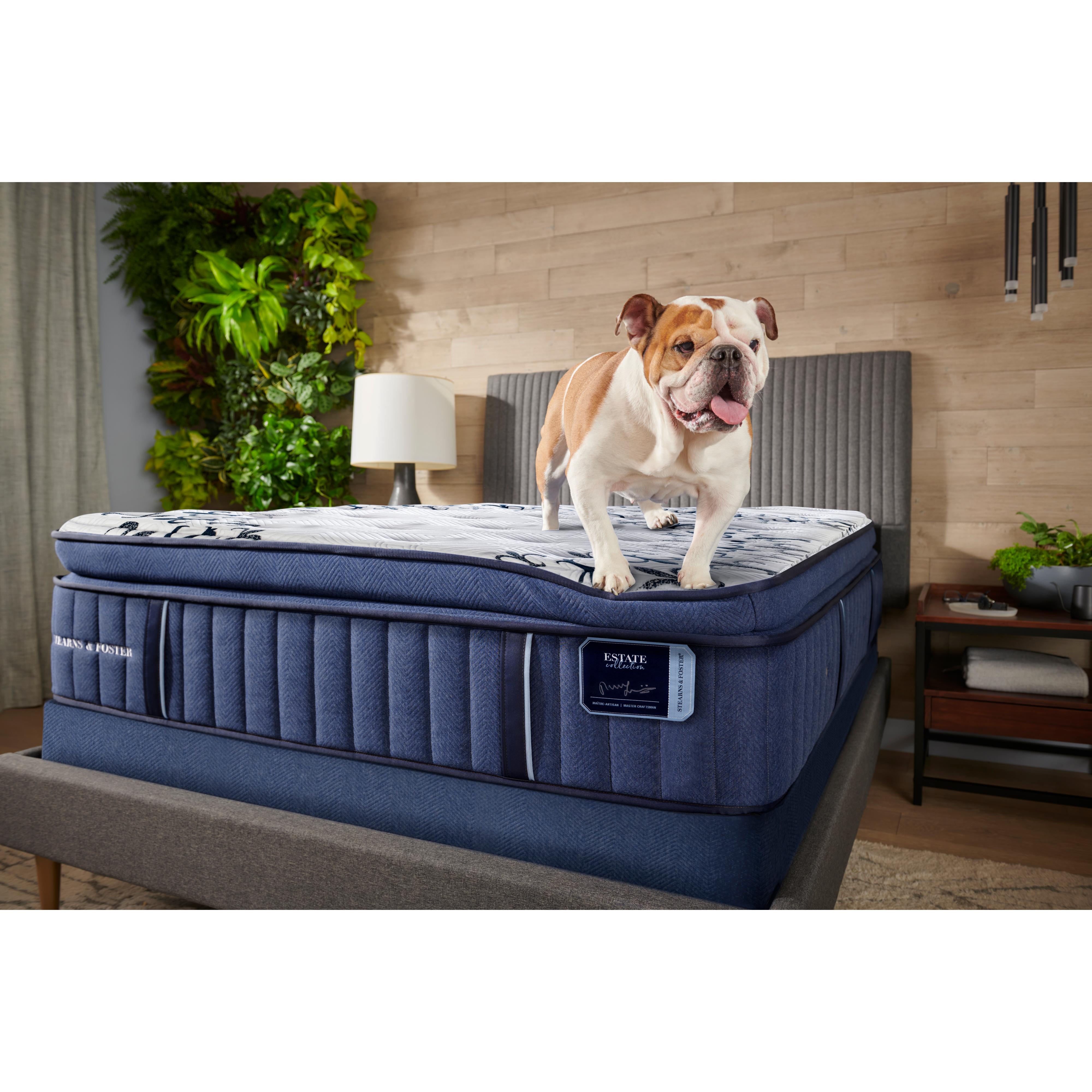  Stearns & Foster Mon Cheri Luxury Medium Firm Pillow Top Mattress (Twin XL) IMAGE 18