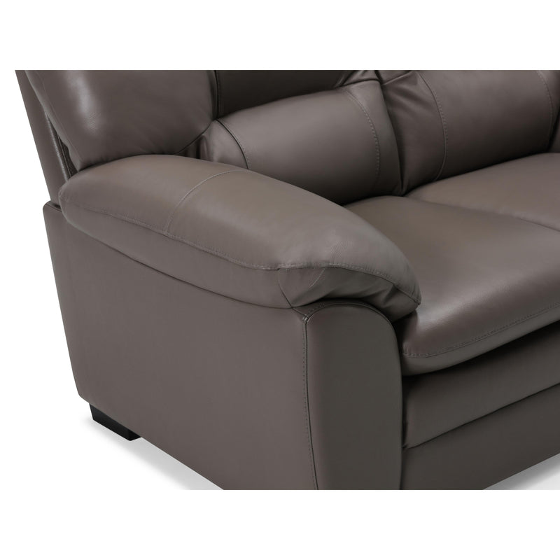 Palliser Amisk Stationary Leather Match Loveseat 77343-03-VALENCIA-PEWTER-MATCH IMAGE 6