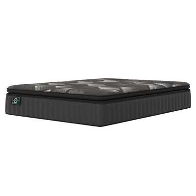 Anora Anora 4.0 Plush Pillow Top Mattress (Queen)