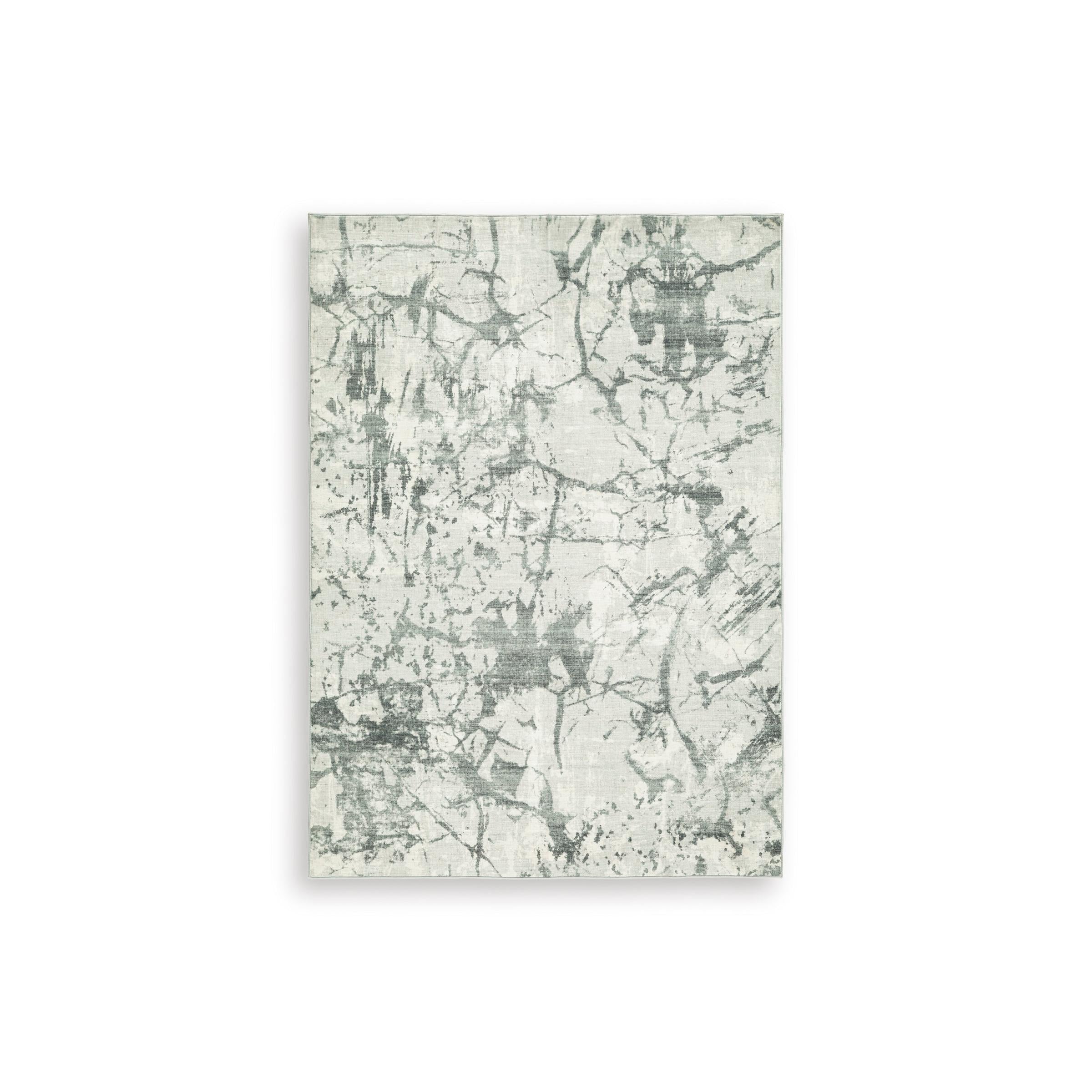 Signature Design by Ashley Tobinbury R407422 Washable Medium Rug IMAGE 1