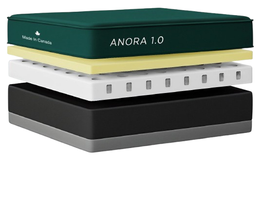 Anora 1.0