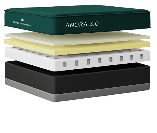 Anora 3.0