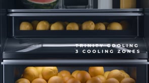  JennAir 8 cu.ft. Built-In Upright Freezer JBZFL18IGX EXTERNAL_VIDEO 2