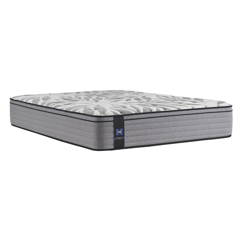 Sealy Mattresses Twin 52970130 IMAGE 1